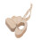 1Set Onvoltooide Graafmachine Schijven Beige Voor Decoratie 1
