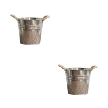 2Pièces Seau À Plantes Argenté Pot Rustique Pour Décoration Jardin