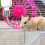 2 Hangende Drinkfles Cavia En Hamster 3