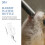 2 Hangende Drinkfles Cavia En Hamster 5