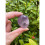 Amethyst Pebble, 1"-2" Amethyst Tumbled Stones Large 3