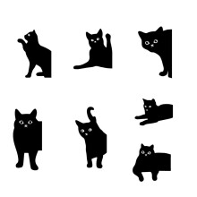 Niedliche schwarze Katzen Magnetische Kühlschrankmagnete – Perfekt für Katzenliebhaber