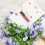 25St Multifunctionele Transparante Lipstickhouder Geldkaarten 3