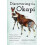 Discovering the Okapi Western Science Indigenous Knowledge and the Sea 1