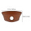 Wood Scraping Plate - Natural and Relaxing Massager Tool 2
