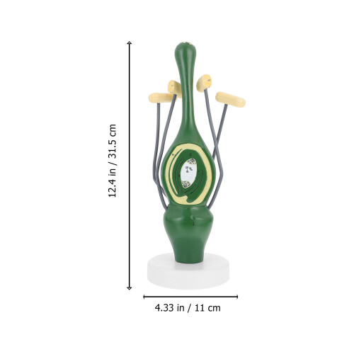Dicotyledon Bloemstructuur Model 1