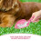 Slijtvaste Poepspaan Pink Abs 1 4