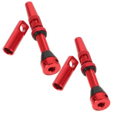 2St Rood Aluminium Ventielset Tubeless Lichtgewicht Duurzaam