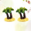 2 Vierkante Drukknoopknopen Miniature Boomversiering Strand 6