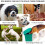 Reflective Dog Muzzle - Soft Nylon Adjustable Breathable Mesh Pet Muzzle  M 3