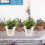 10St Plastic Bloempotten Wit, Eenvoudig Design Voor En 9