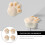 4St Multifunctionele Siliconen Hoekbeschermers Baby 4