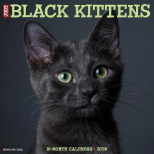 Black Kittens 2026 Wall Calendar by Willow Creek Press Other Book