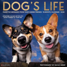 Dogs Life 2026 Wall Calendar Other Book