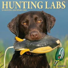 Hunting Labs 2026 12 X 12 Wall Calendar by Willow Creek Press Other Bo