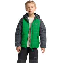 (7 - 8 Yrs, Mystic Green) Jack Wolfskin Kids Zenon TEXATHERM Padded Jacket