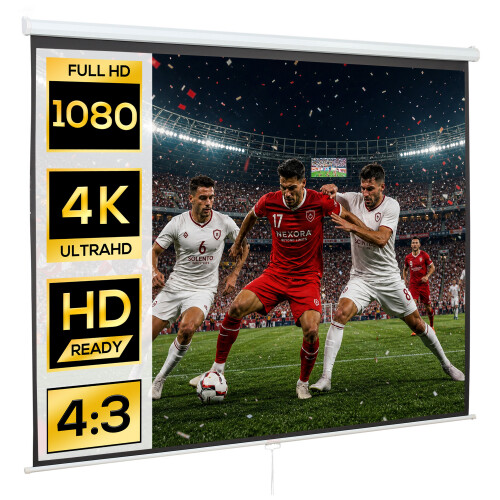 Homcom Pantalla de Proyector Blanco 244 x 183 cm