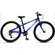 Tiger Beat 20 inch Lightweight junior bike blue