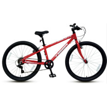 Tiger Beat 20 inch Lightweight Junior bike red
