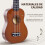 Homcom Ukelele 21 Pulgada Marrón 53 x 17,5 x 6,2cm 4