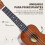 Homcom Ukelele 21 Pulgada Marrón 53 x 17,5 x 6,2cm 5