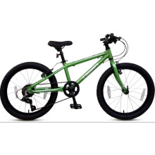 Tiger Beat 24 inch bike Green