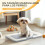 PawHut Inodoro para Perro Gris 63 x 48.5 x 6 cm 6