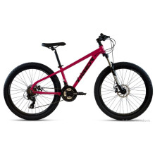 tiger ACE V3 260 MTB Pink frame 13