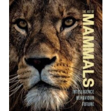 Age of Mammals by Jamie Collins Hardcover Book
