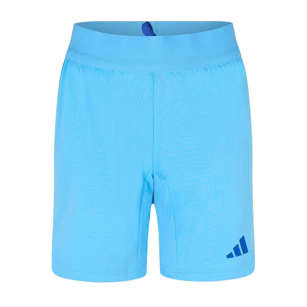 Adidas (M, Blue) Unisex Adult Goalkeeper Shorts
