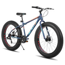 Hiland 26 Inch Fat Tire Mountain Bike for Boys and Girls, 7-Speed Mountain Bike, Double Disc Brake, Beach And Snow Bike Blue
