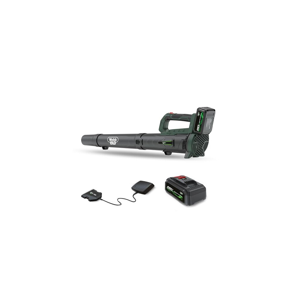 Webb Eco Wev20ab Cordless Leaf Blower, 20V Axial Garden Leaf Blower, Powerful 100Mph, Easy To Use Includes 4Ah Battery & Charger