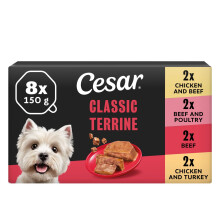 Cesar ClassicTerrine Dog Food Wet - Mixed Selection in Jelly, 8x150g (Pack of 3)