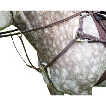 (X Full, Havana) Salisbury Leather Horse Breastplate