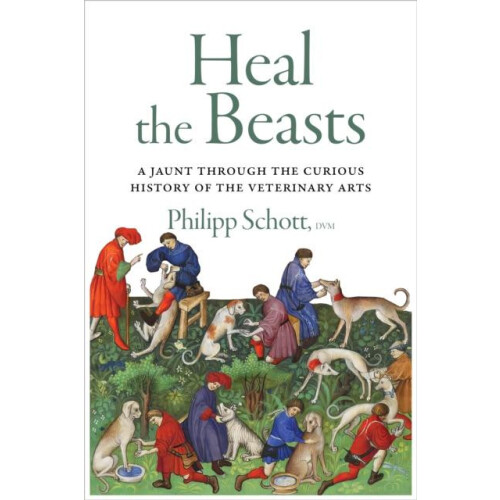 Heal the Beasts by Philipp Schott Paperback Book