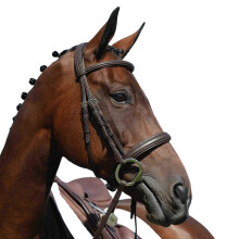 (Pony, Brown) Collegiate Syntovia+ Padded Raised Cavesson Bridle