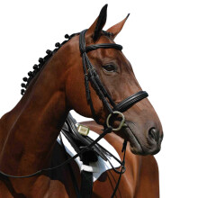 (Cob, Black) Collegiate Syntovia+ Padded Raised Cavesson Bridle