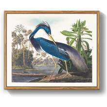 Tableau sur Toile Héron Bleu Vintage 40x60 cm Décoration Murale avec Cadre en Bois Massif Impression HD pour Salon et