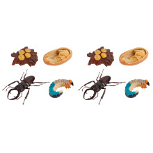 8Pièces Décorations Modèles Croissance Insectes Réalistes Pour Enfants