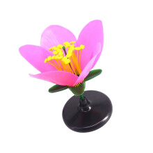 Realistic Plant Teaching Model For Science Exhibitions Middle School Biology