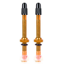 Vacuum Tire Valves for Bikes Durability Pressure Resistance in All Terrains 2pcs Gold