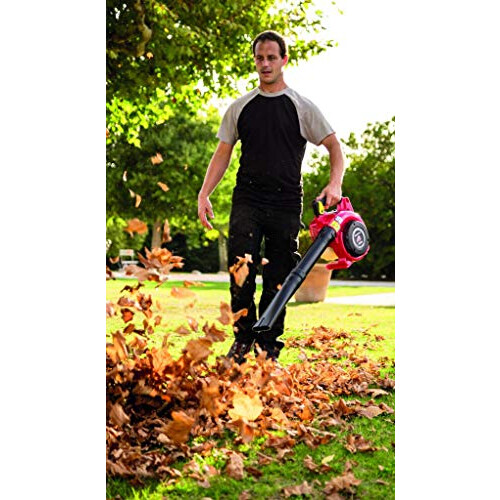 Honda Honda HHB 25 EW T Petrol Leaf Blower 2