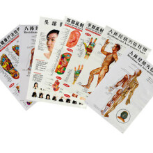 7 - delige set Engelse acupunctuur meridiaan acupressuurpunten posters muurdiagram