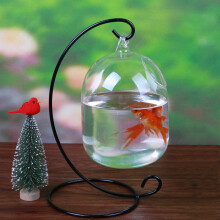 Vaso da fiori in glass per acquario ciotola appesa vaso per piante ciotola per pesci da tavolo altezza 15 cm per pesci Betta prodotti per an
