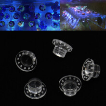 5 Pezzi Borsa Plug in Acrilico per Corallo Frag per Acquario Marino Kit per Acquario Reef