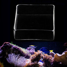 Vassoio contenitore per alimentazione di gamberetti in acquario di glass trasparente