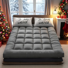 (Grey, Single(90 X 200)) [Hotel Quality Mattress Topper] Super Soft 10cm Hotel Quality Mattress Topper | 1000GSM Hollowfiber Filling