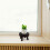 Bloemhouder Plantenschotel Rek 3
