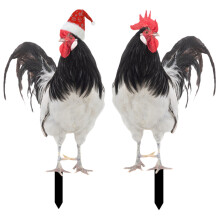 2 Chicken Yards Acryl Spijkers Realistische Bordjes