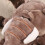 Adorable Handpop Olifant Dieren Educatieve Pop 6